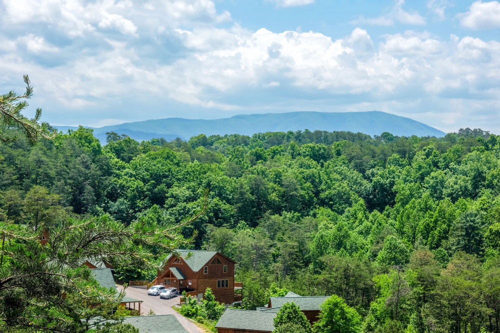 Sevierville 234