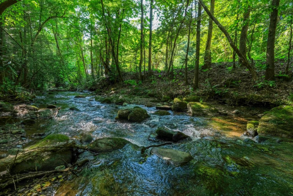Gatlinburg 103