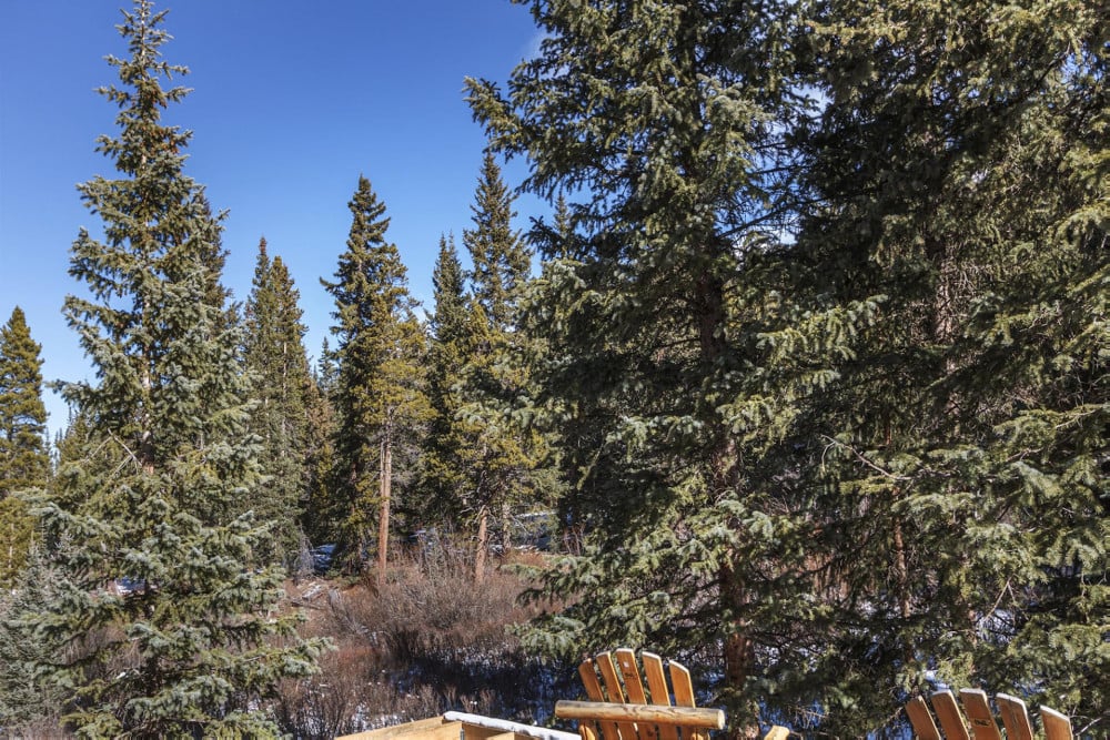 Breckenridge 84