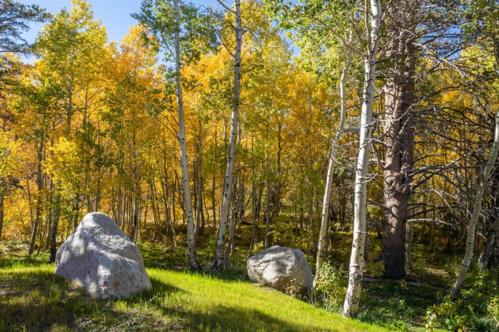 Mammoth Lakes 115