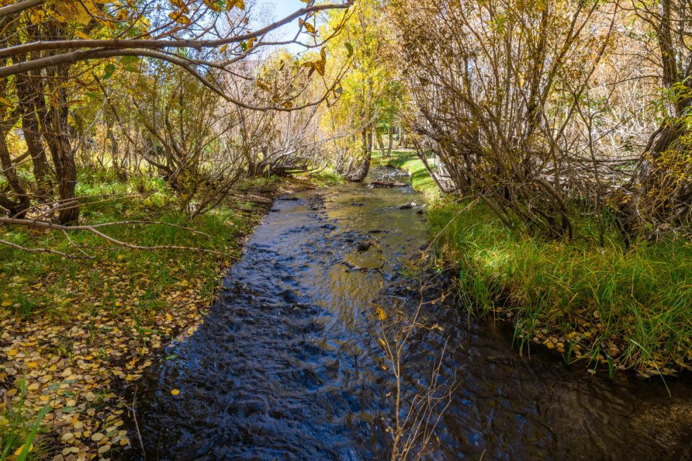 Mammoth Lakes 115
