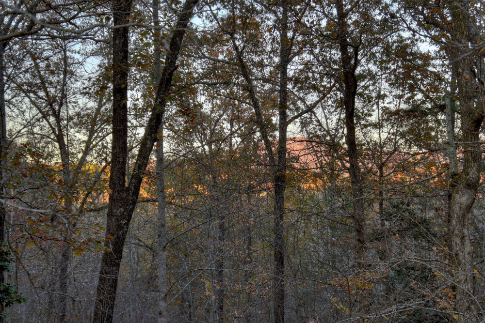 Blue Ridge 36