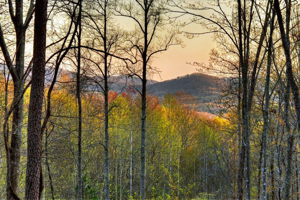 Blue Ridge 79