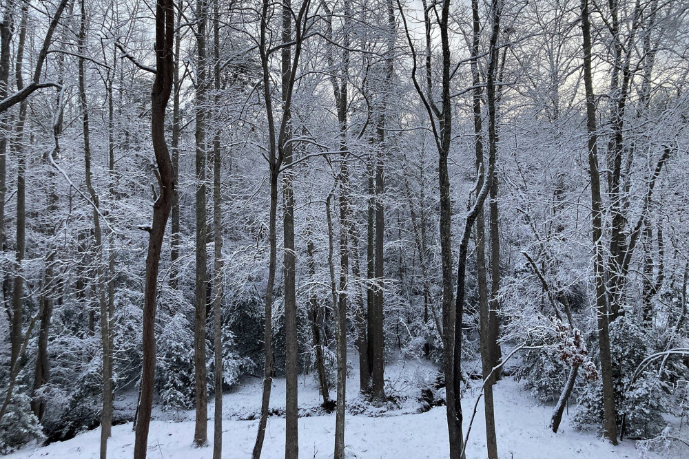 Blue Ridge 46