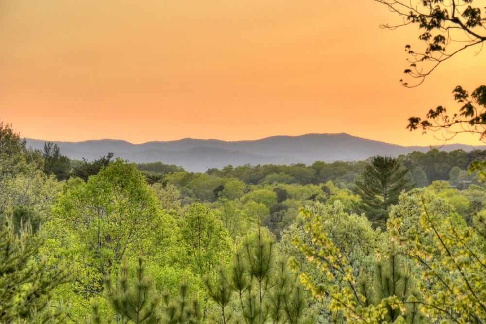 Blue Ridge 83