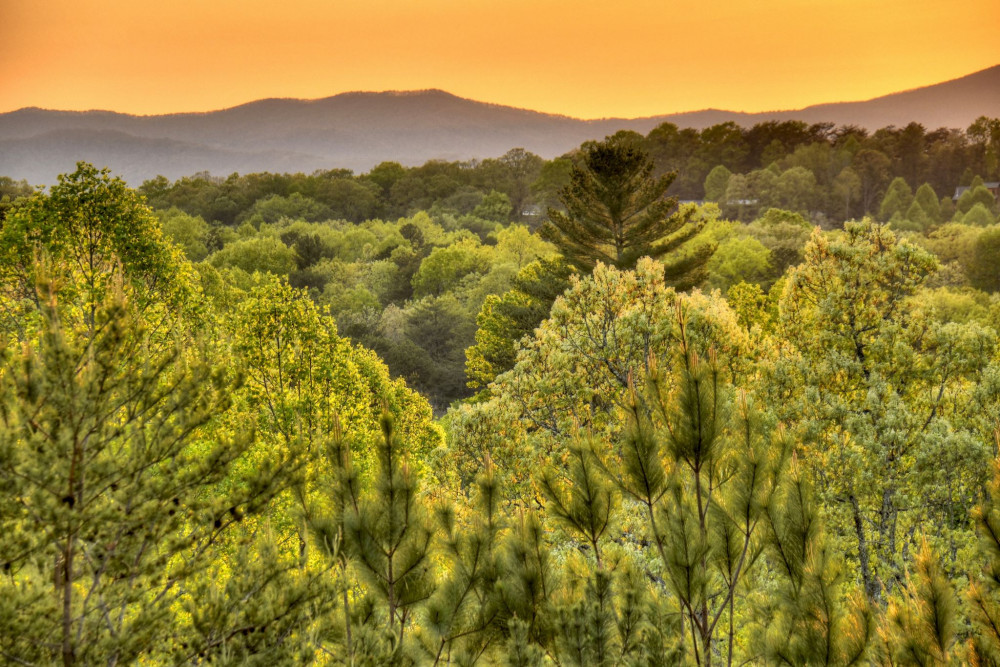 Blue Ridge 83
