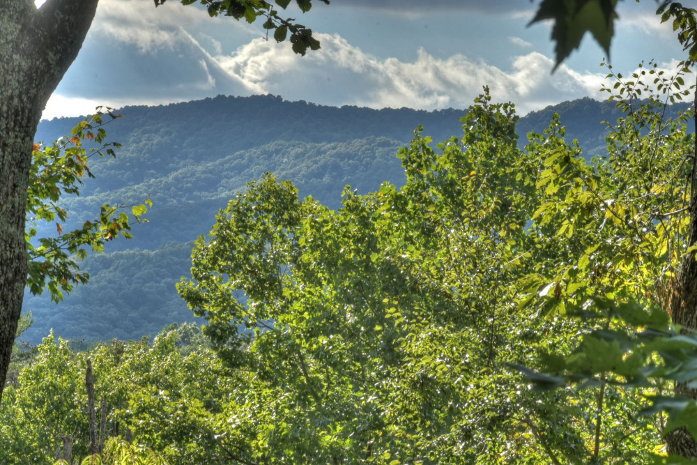 Blue Ridge 81
