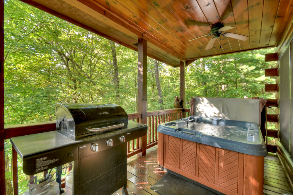 Blue Ridge 81