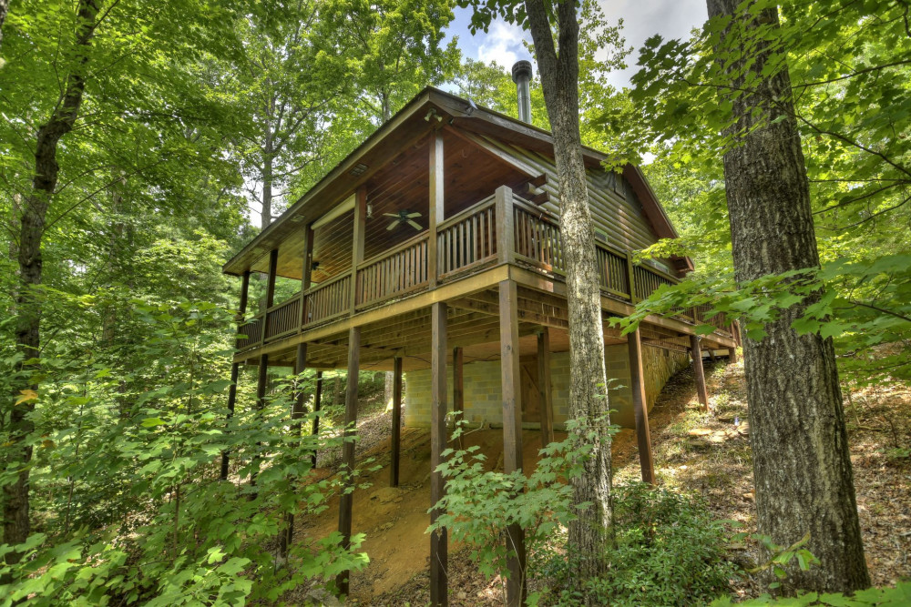 Blue Ridge 81