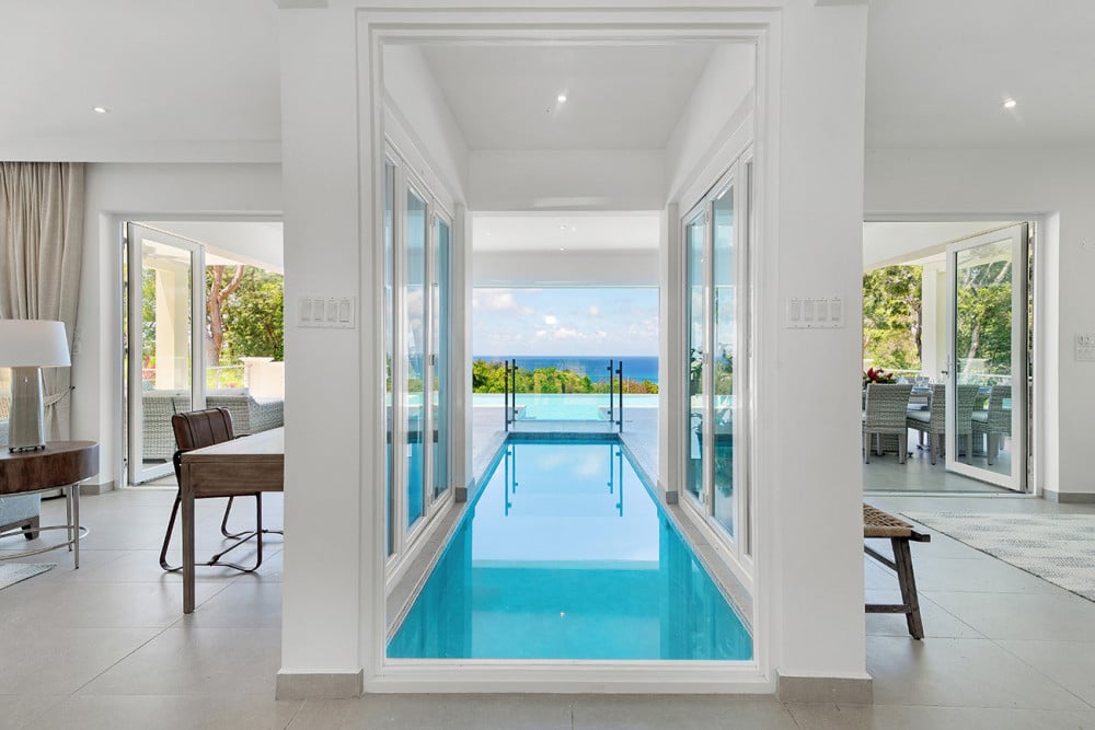 BougainVilla on Spring Farm