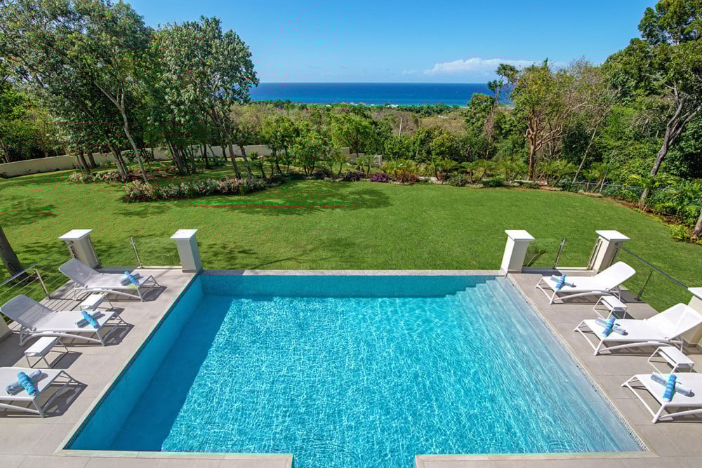 BougainVilla on Spring Farm