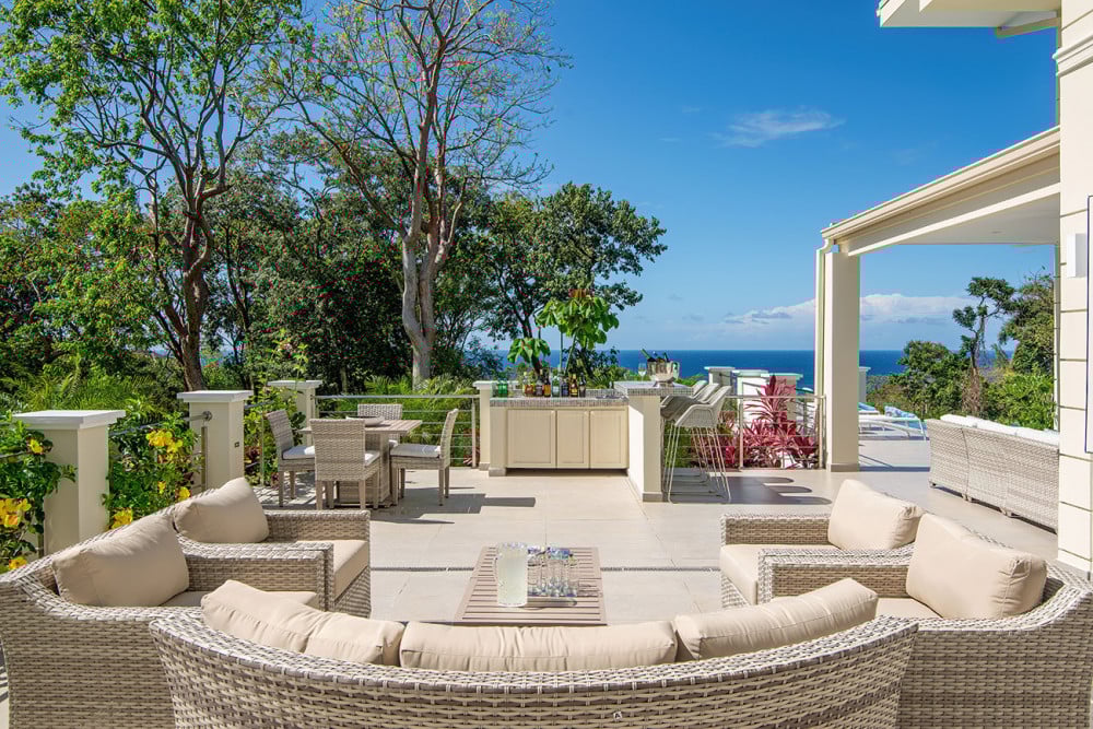 BougainVilla on Spring Farm