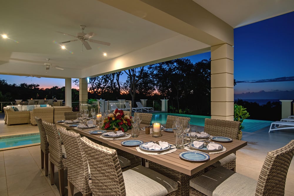 BougainVilla on Spring Farm
