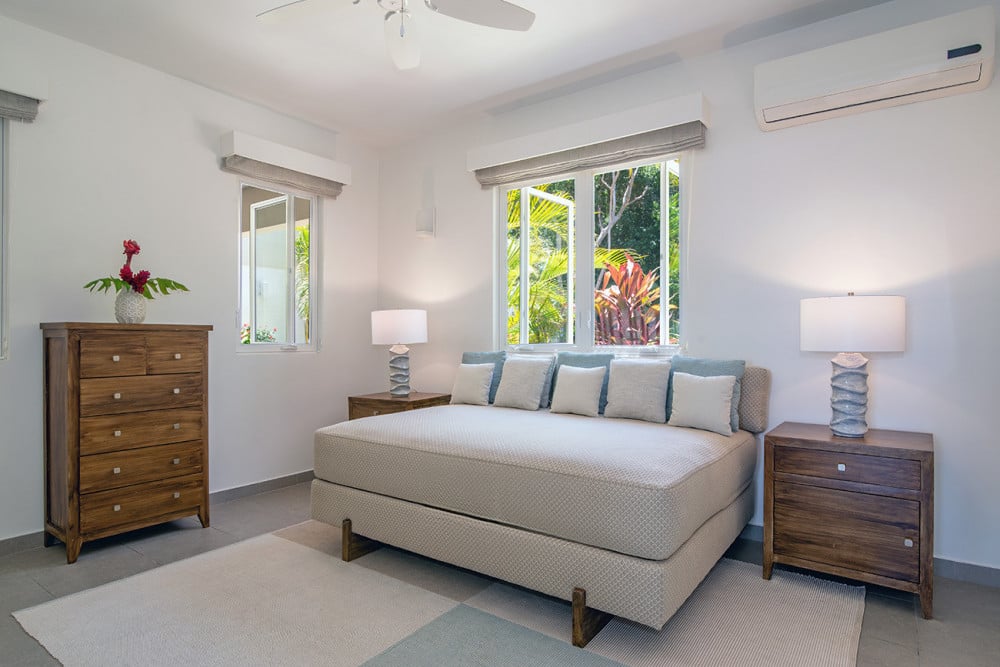 BougainVilla on Spring Farm