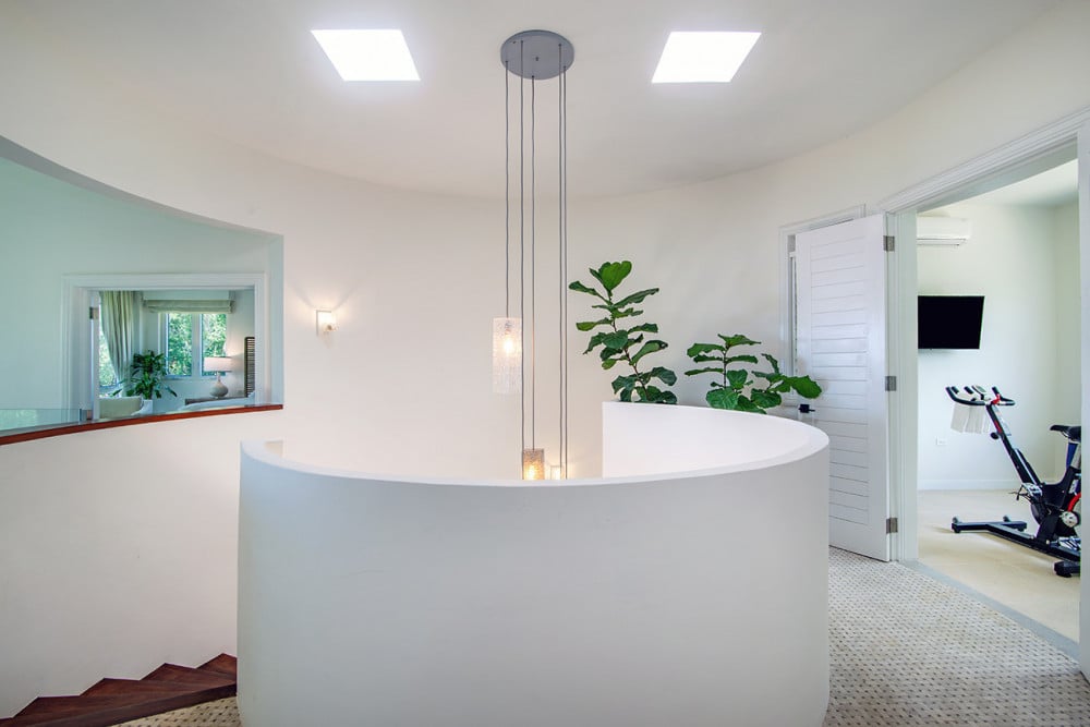 BougainVilla on Spring Farm