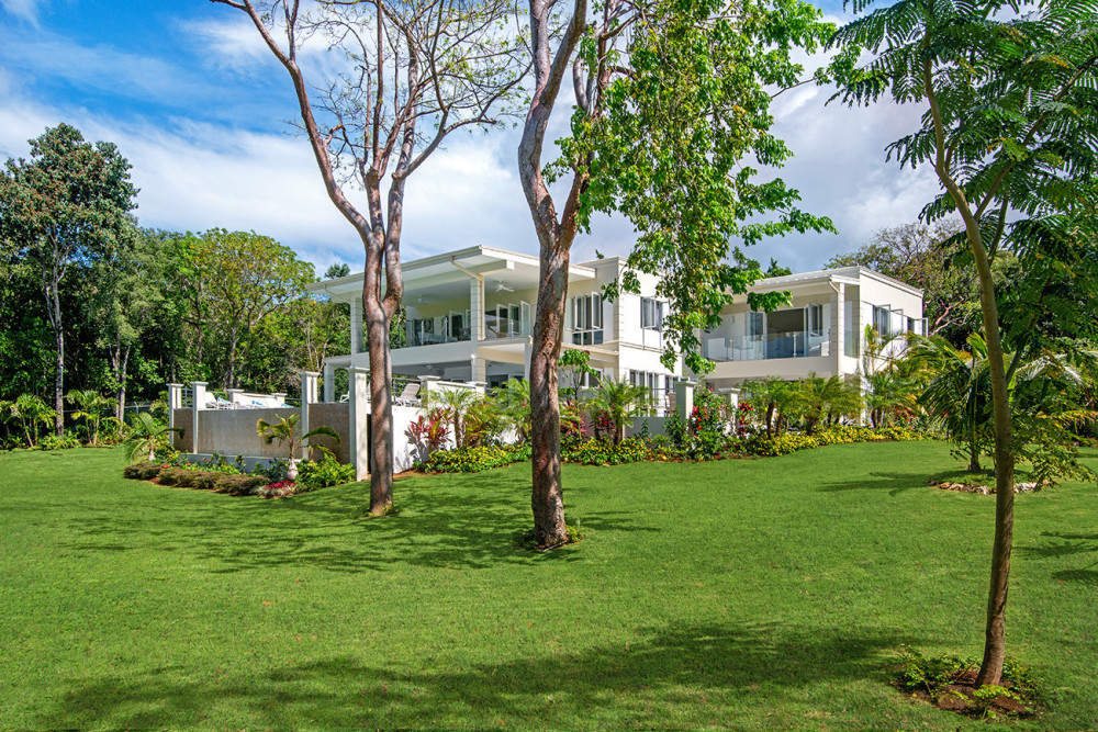 BougainVilla on Spring Farm