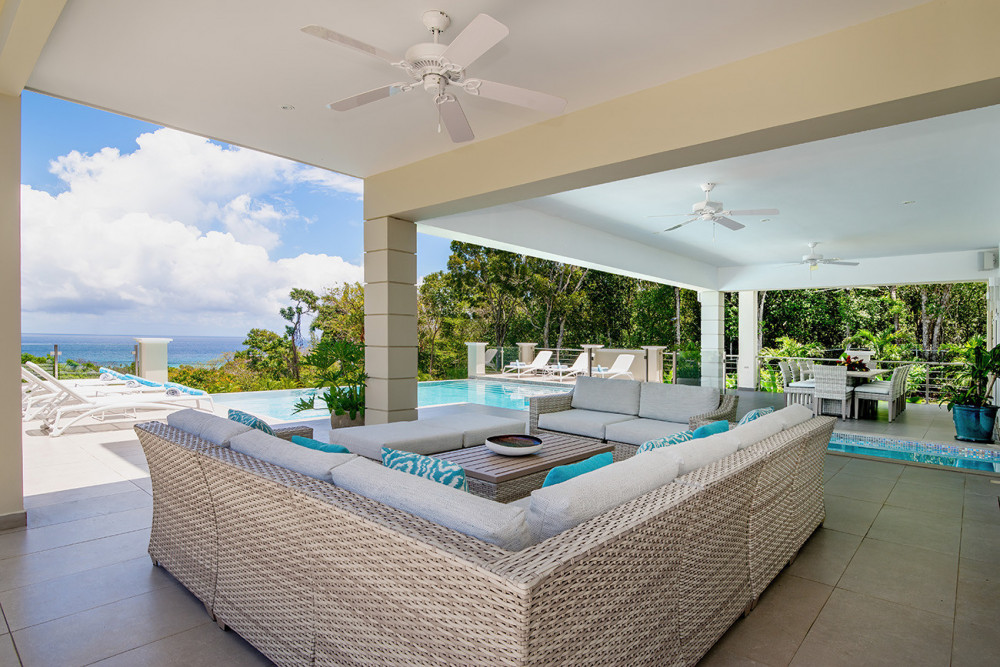 BougainVilla on Spring Farm