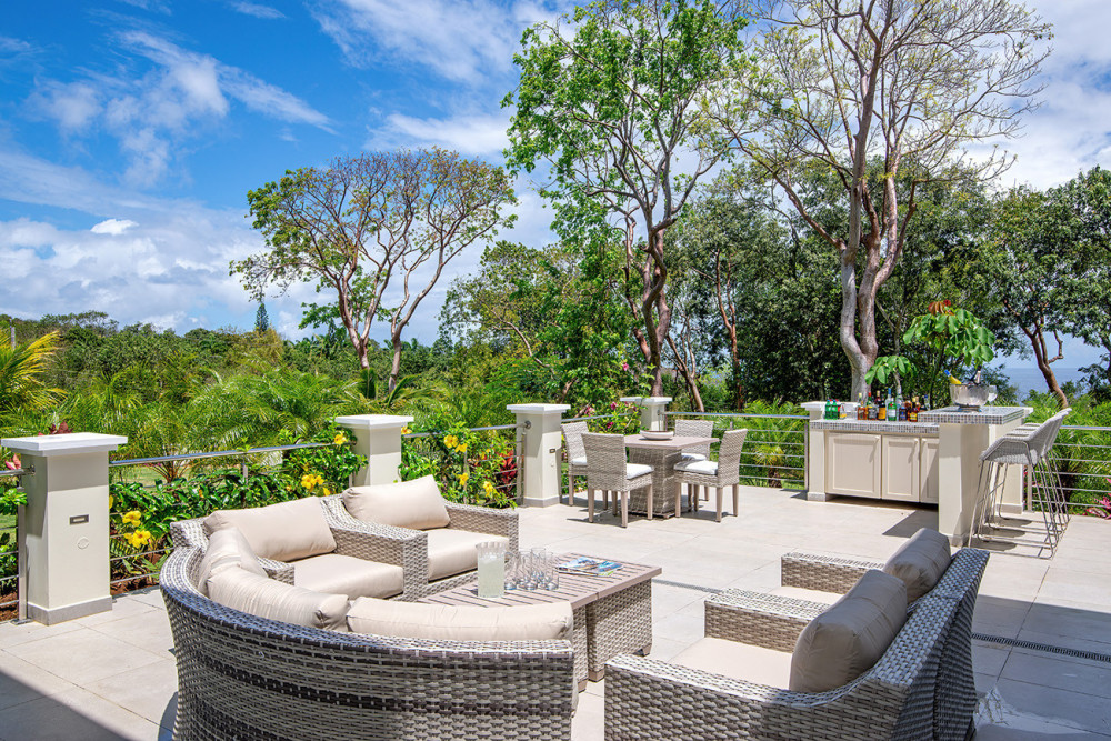 BougainVilla on Spring Farm