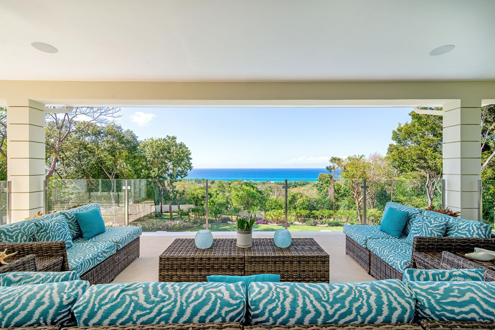 BougainVilla on Spring Farm