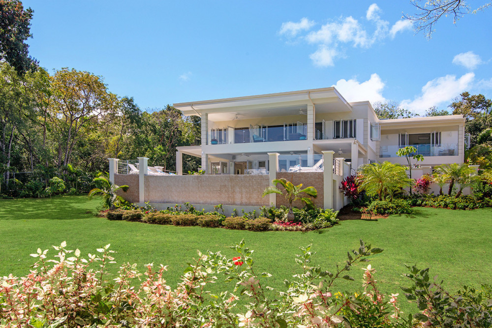 BougainVilla on Spring Farm