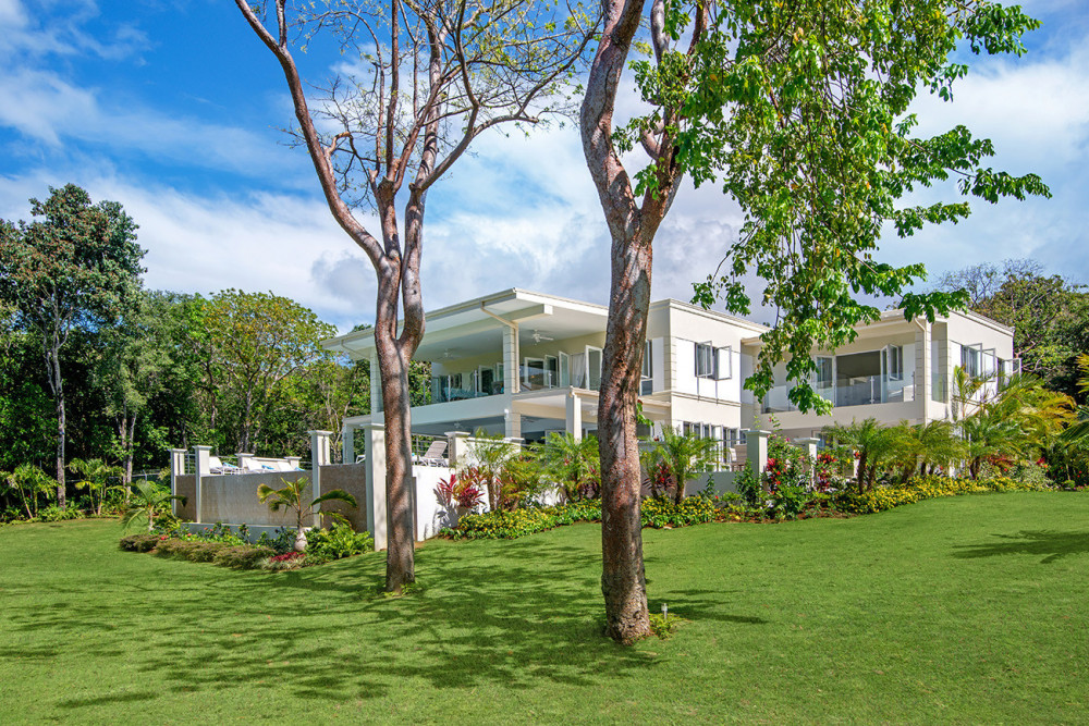 BougainVilla on Spring Farm