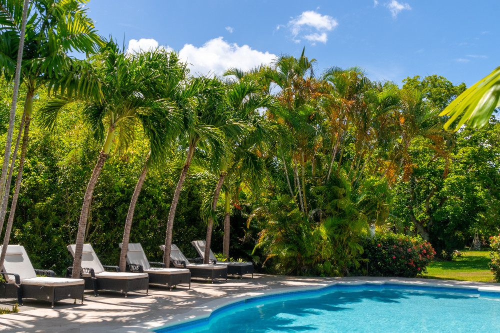Sandy Lane - Palm Tree Villa