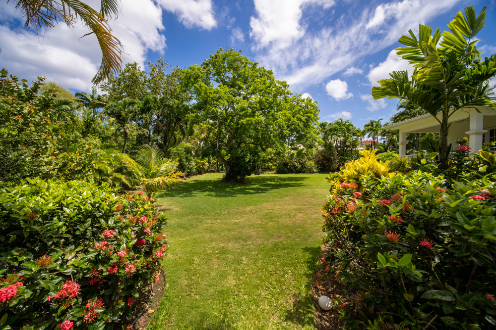 Sandy Lane - Palm Tree Villa