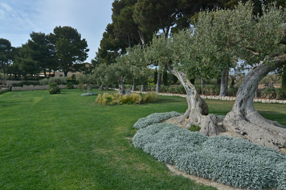 Villa Terra Del Sole