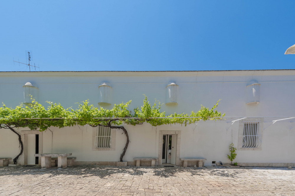 Masseria Profilo