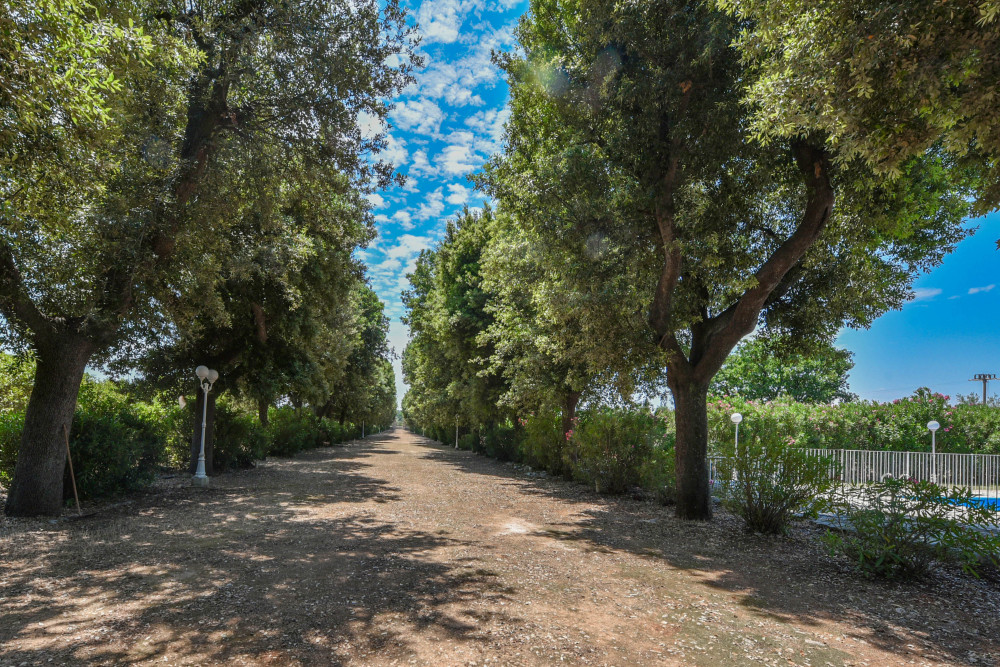 Masseria Profilo