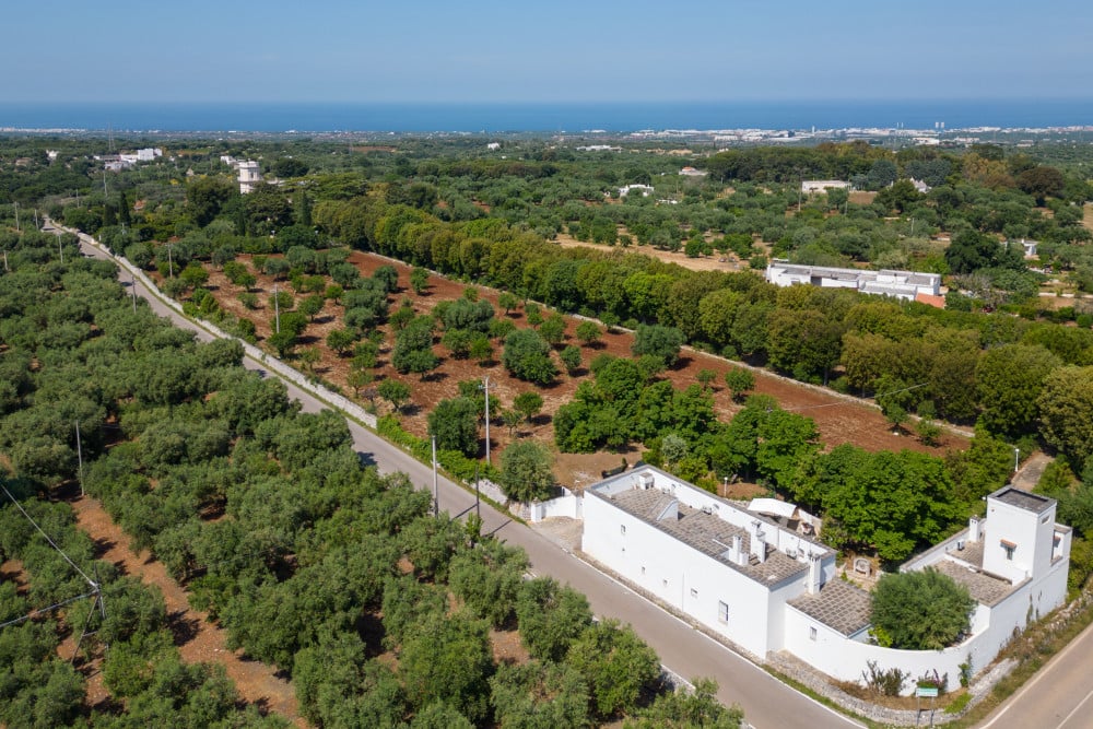 Masseria Profilo