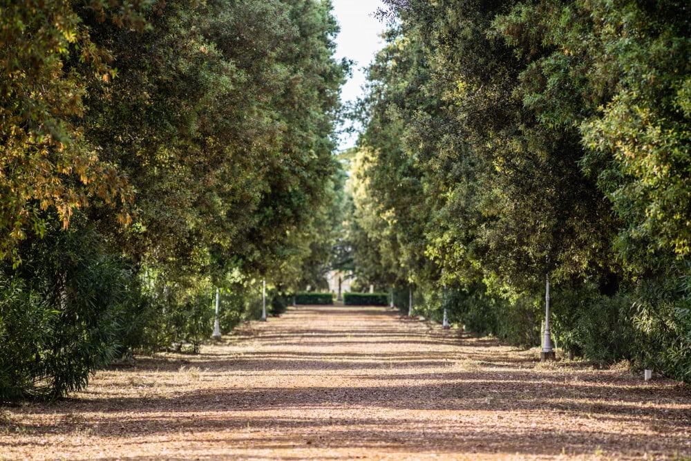 Masseria Profilo