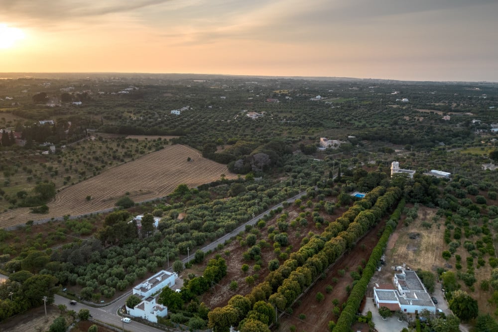 Masseria Profilo