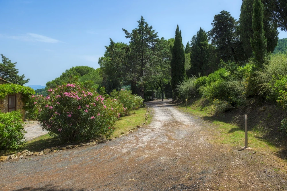 Podere Il Chiesino