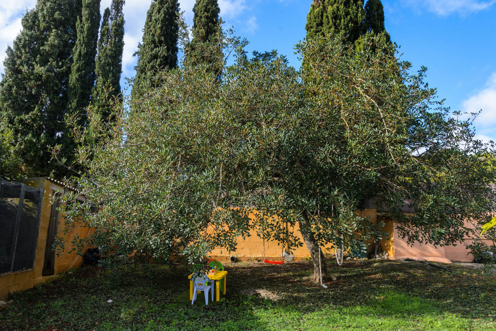 Villa Davyvic