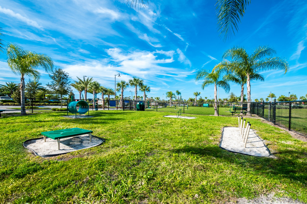 Margaritaville 410