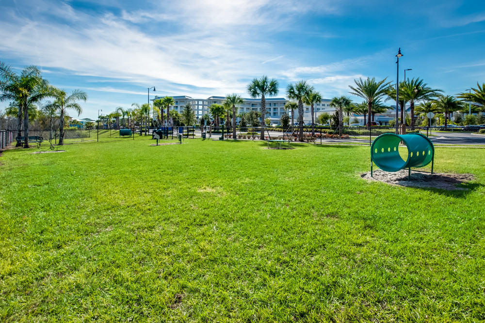 Margaritaville 410