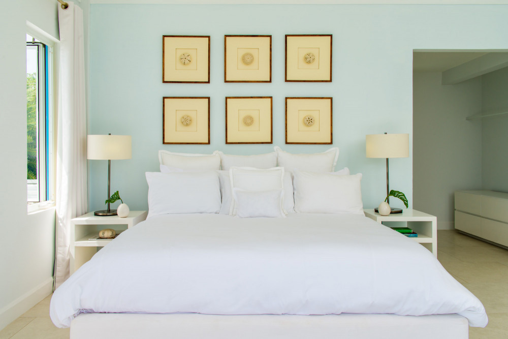 Rocksteady Over The Water