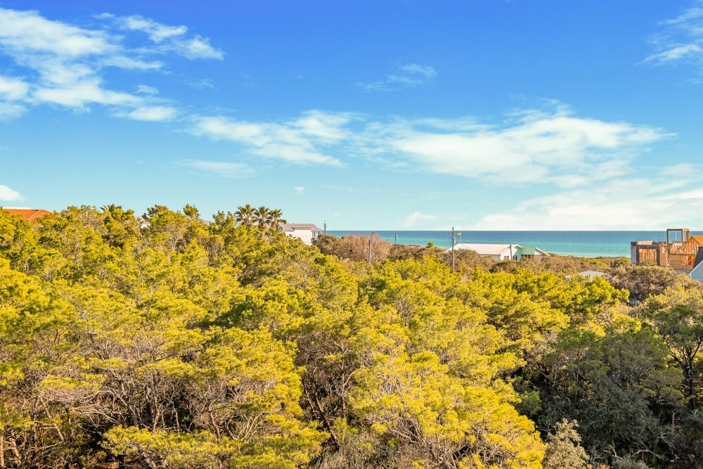 Inlet Beach 18