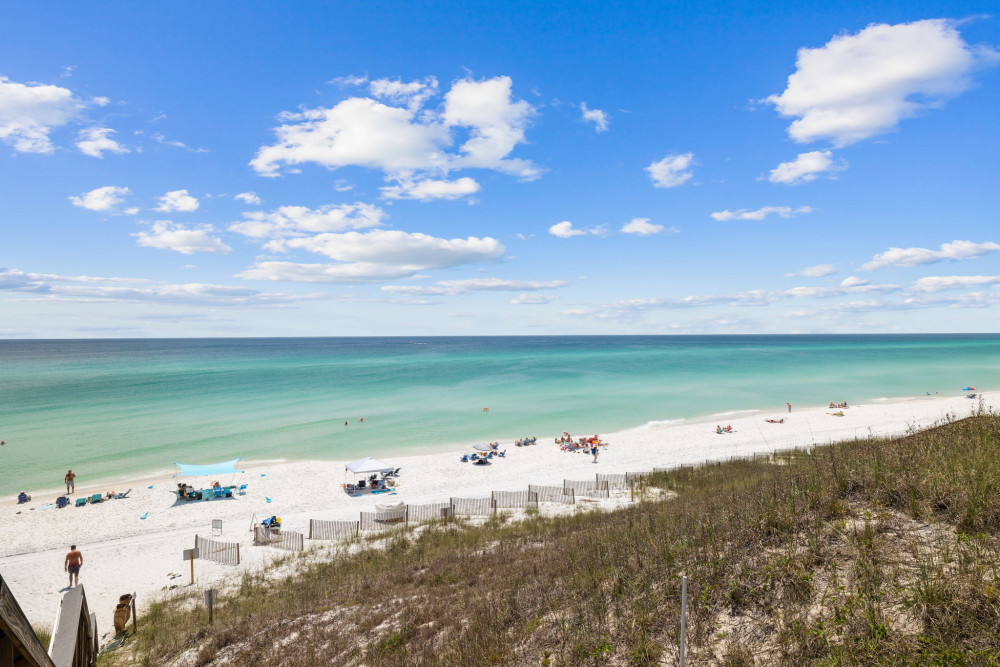 Seagrove 97