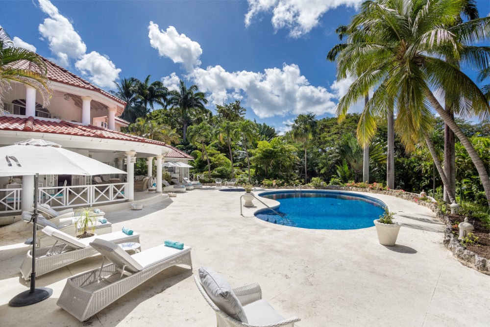 Sandy Lane - Pappagallo