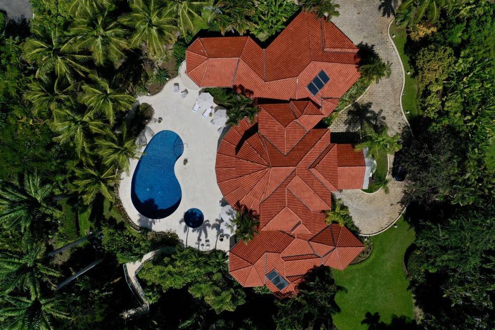 Sandy Lane - Pappagallo