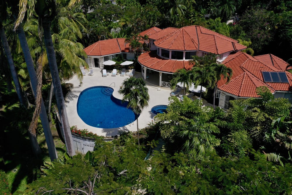 Sandy Lane - Pappagallo