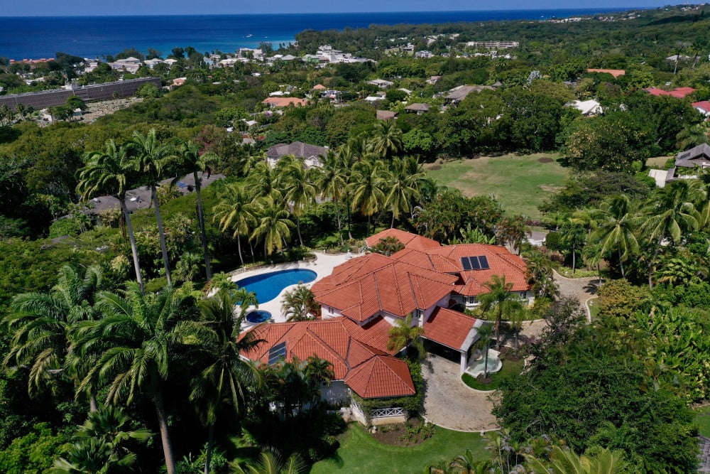 Sandy Lane - Pappagallo