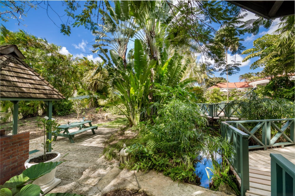 Sandy Lane - Pappagallo