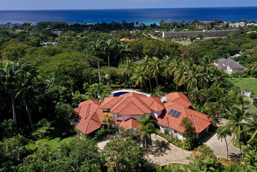 Sandy Lane - Pappagallo