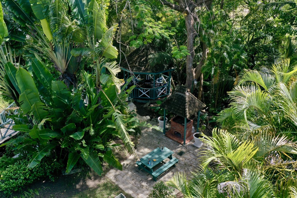 Sandy Lane - Pappagallo