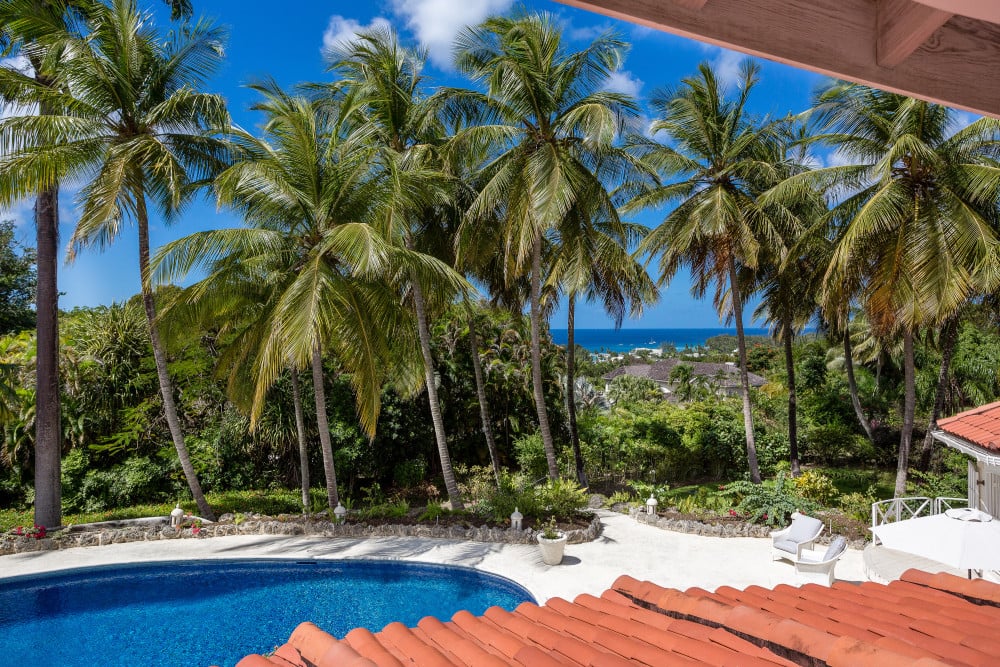 Sandy Lane - Pappagallo