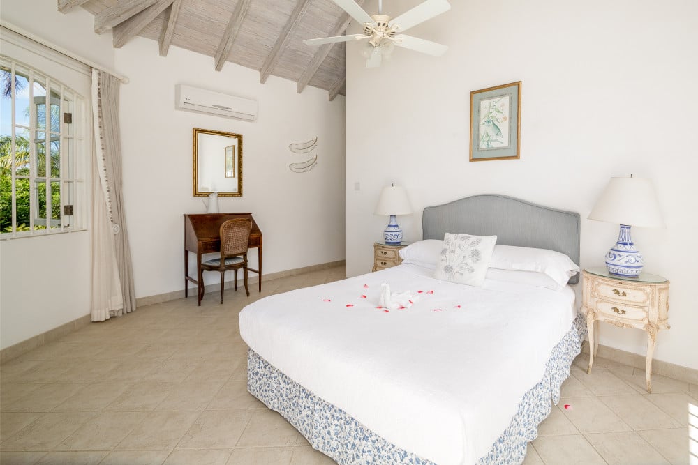 Sandy Lane - Pappagallo