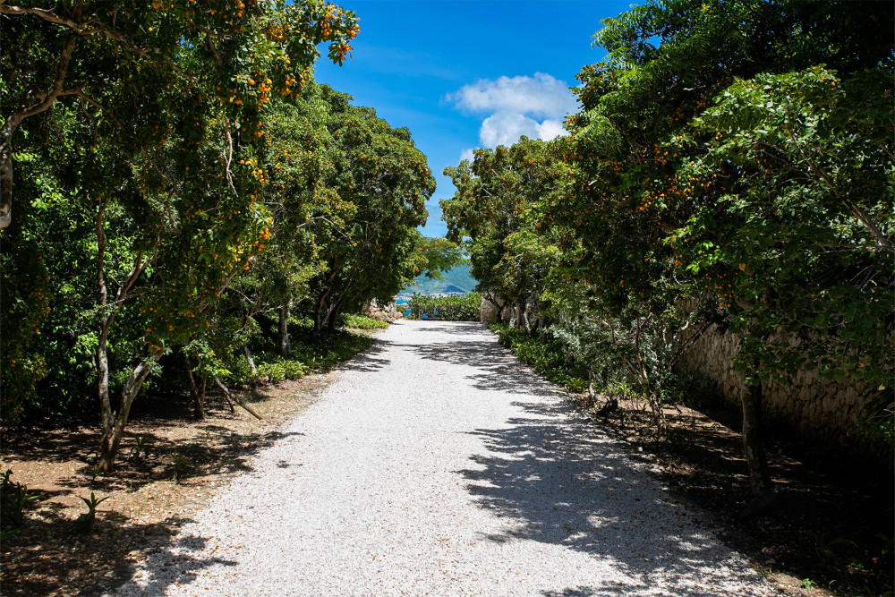 Jasper Terres Basses